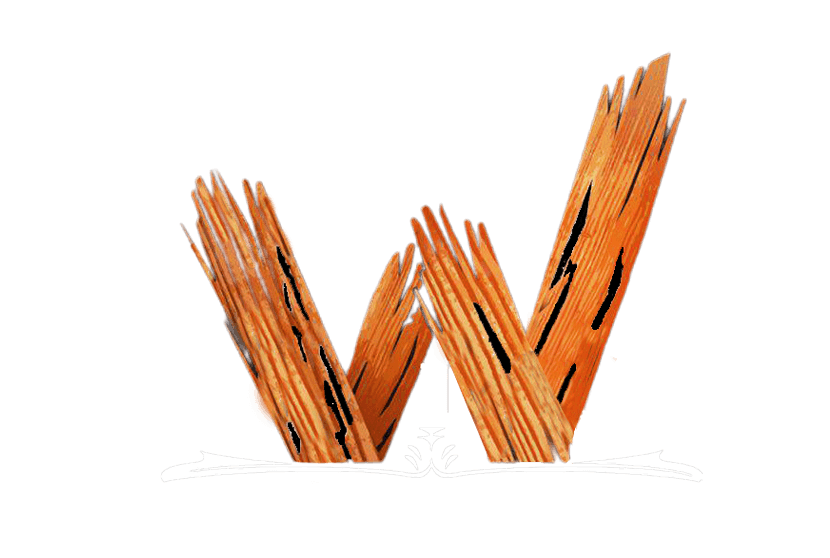 Wimehr logo content